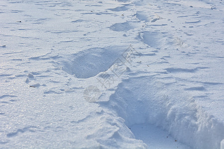 雪中脚印旅行白色踪迹图片