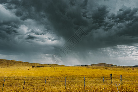 风暴酝酿草原农村草地雷雨地平线金子土地天空收成环境图片