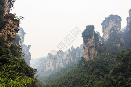 张家吉国家公园天子山自然保护区和雾 中国 中国森林旅行天气公园遗产地标石头烟雾旅游天空图片