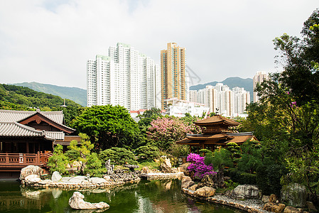 香港南莲花园的Chilin寺庙旅行花园建筑学建筑旅游尼姑庵图片