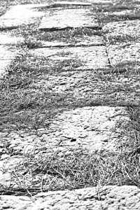 松针摧毁了安塔利亚阿里坎达的石头和剧院废墟墙纸建筑学衬套卵石木板火鸡考古学历史性木头图片