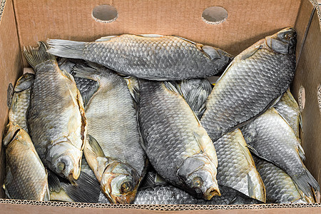盐河和干河鱼类食物时候鱼干爱好盒子钓鱼图片