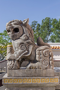保护中国狮子 在佛教寺门前的大门建筑猫科动物概念侵略工艺品文化寺庙力量大理石想法图片