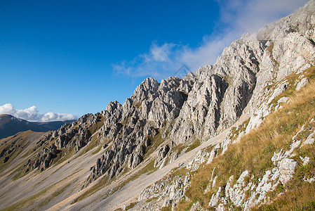 美丽的山地风景生物圈宽慰植物群全景爬坡路线冰川植物植被山脉图片