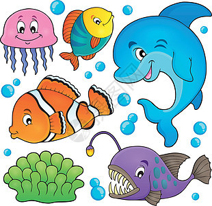 海洋动物群专题集1背景图片