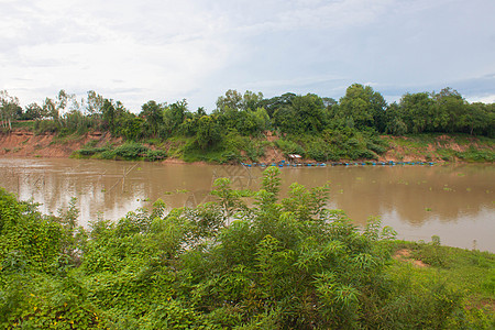 泰国的江河林图片