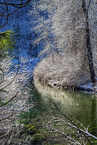 冬季离开雪冰温纳切河谷 华盛顿溪流树木叶子树叶季节场景森林木头反射图片