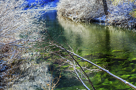 冬季离开雪冰温纳切河谷 华盛顿木头溪流树木森林反射场景季节树叶叶子图片