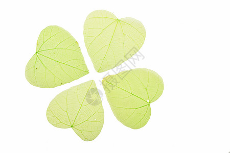 四颗绿色的心形 白色的叶子风格艺术品团体骨骼装饰品三叶草艺术装饰纤维工艺图片