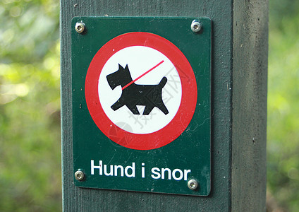 在森林里签字禁止没有皮带的狗图片
