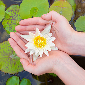 手握莲花的女子温泉身体热带异国生活百合植物群皮肤护理荒野图片