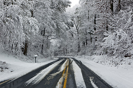 冬季雪景中的道路图片