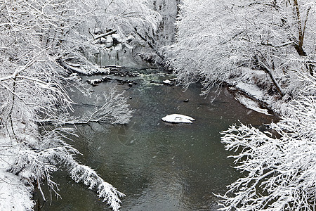 冬季雪景中的溪峡谷山沟森林公园溪流天空山脉寒冷蓝色木头图片