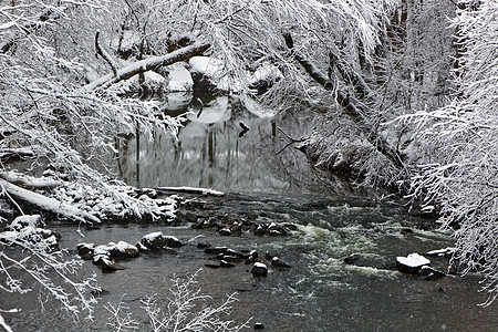 冬季雪景中的溪峡谷瀑布公园蓝色森林木头季节天空山脉岩石图片