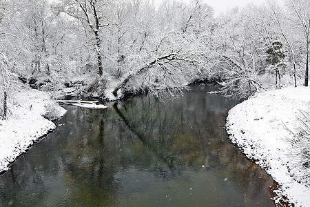 冬季雪景中的溪木头树木山脉蓝色天空场景季节溪流公园峡谷图片
