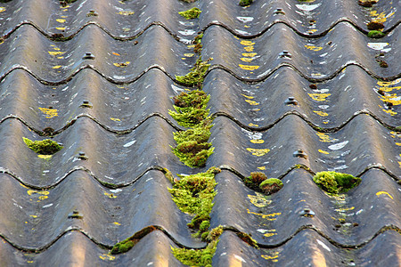 使用不同藻类的旧水泥纤维屋顶建造建筑学材料石棉房子建筑危险植物癌症损害图片