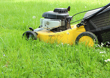 种植花园高草草的草坪移动器背景图片