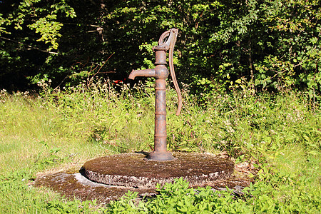 森林花园中的老旧的泥浆水泵工具水龙头金属森林邮政绿色消防栓图片