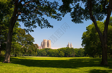 纽约 清晨中央公园空闲晴天公园太阳摩天大楼景观建筑天空风景建筑学国家图片