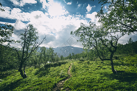瑞典拉普兰的景观远足苔原气候变化背包风景冒险山脉森林环境天气图片