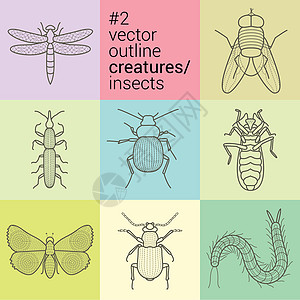 设置大纲 平面 轮廓 矢量昆虫图标和采集生物包蜉蝣天线艺术蚊子产品野生动物甲虫白蚁生物学收藏图片
