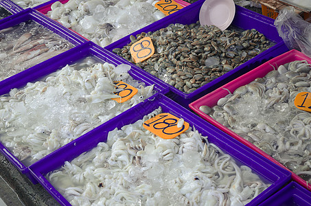 Raw Squid在泰国市场上出售白色螺旋饮食对象海鲜健康饮食动物红色乌贼餐厅图片