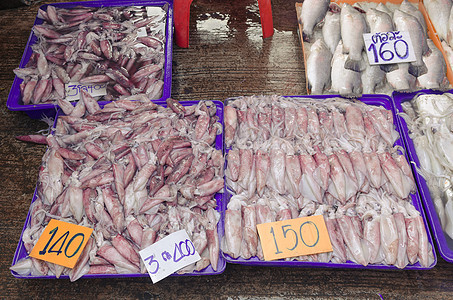 Raw Squid在泰国市场上出售食物吸盘对象动物健康饮食章鱼乌贼白色微生物触手图片