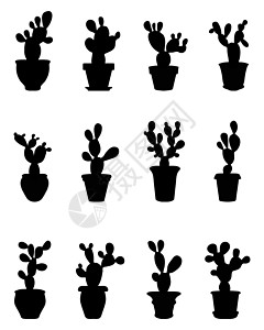 仙人掌的脚影荒野反射黑色花盆干旱白色植物气候沙漠插图图片
