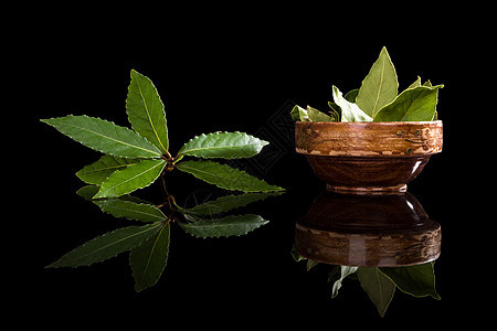 黑色的贝叶被隔绝健康美食芳香水平树叶草本植物烹饪香料草本食物图片