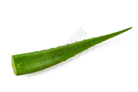 单体肺炎草药叶子药物植物绿色图片