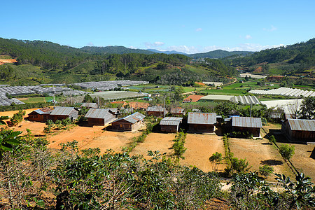 Dalat农村 住房 定居 地貌森林绿化房子场景家庭国家住宅木头农民农场图片