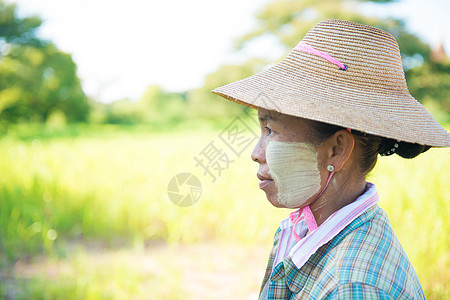 传统成熟的缅甸女农人女士劳动者女性农村帽子劳动工作经济收成场地图片