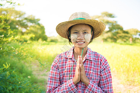 缅甸传统的年轻缅甸传统女农民贺礼图片