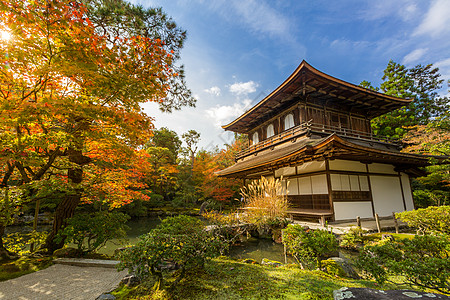 Ginkakakuji寺庙植被别墅池塘历史花园森林树叶公园佛教徒冥想图片