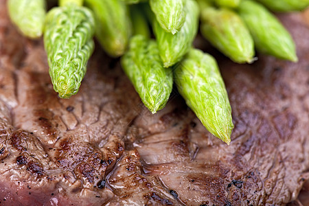 牛排认知季节牛扒荒野自然界宝石美食家图片