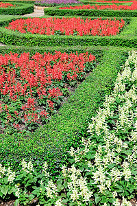 英国正规花园顶级礼仪田园园景环境植物园植物学风格植物人行道衬套绿色图片