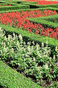 英国正规花园顶级礼仪风光田园园景园林风格场景小径植物园植物学花坛图片