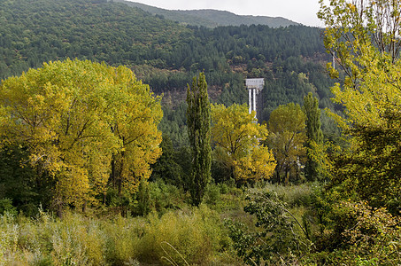 秋天KokalianeKokaliane水管衬套金子绿色天空黄色森林灌木树木小路图片