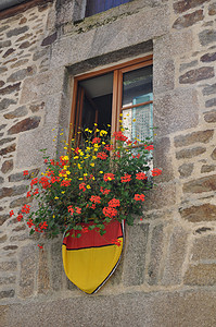 中世纪建筑用鲜花图片