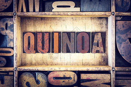 Quinoa 概念印刷品类型图片