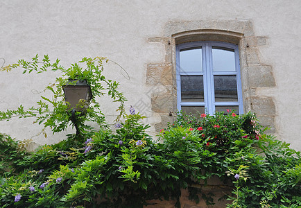 漂亮的窗子 法国罗切福特窗框木头藤蔓住宅窗台小屋房子旅行旅游街道图片