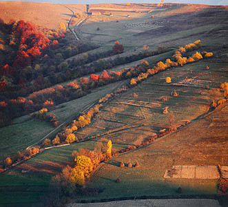 秋天晚上在山村 日落光照耀山坡丘陵晴天假期风光树叶日落牧场旅行草地图片