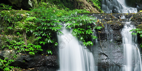 美丽的瀑布岩石荒野叶子公园风景遗产边界生态石头热带图片