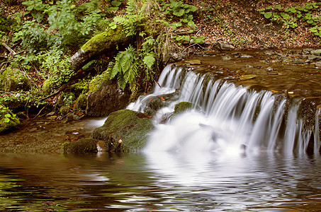 美丽的秋天瀑布 在森林中与绿树叶石头墙纸国家生活生态叶子环境旅游苔藓流动图片