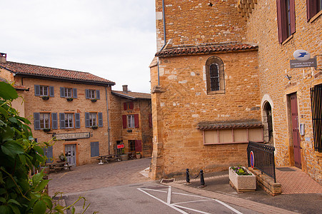 Beaujolais 银石计划日记葡萄干葡萄园农业藤蔓食物水果团体贵族图片