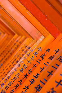日本京都的神社信仰历史人行道精神寺庙地标宗教写作文化建筑学图片
