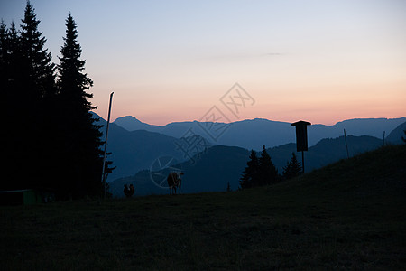 阿尔卑斯山的傍晚游客佛兰旅游旅行波峰日落假期图片