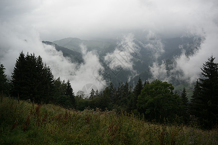 阿尔卑山森林性质假期山林高山游客旅行图片