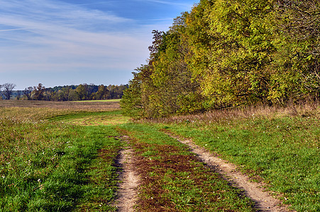 波兰秋季森林附近草原上一条乡村公路 波兰秋天图片