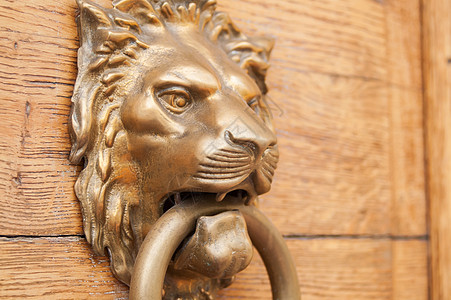 狮子把手门动物木头圆圈金子房子装饰金属入口建筑学艺术图片